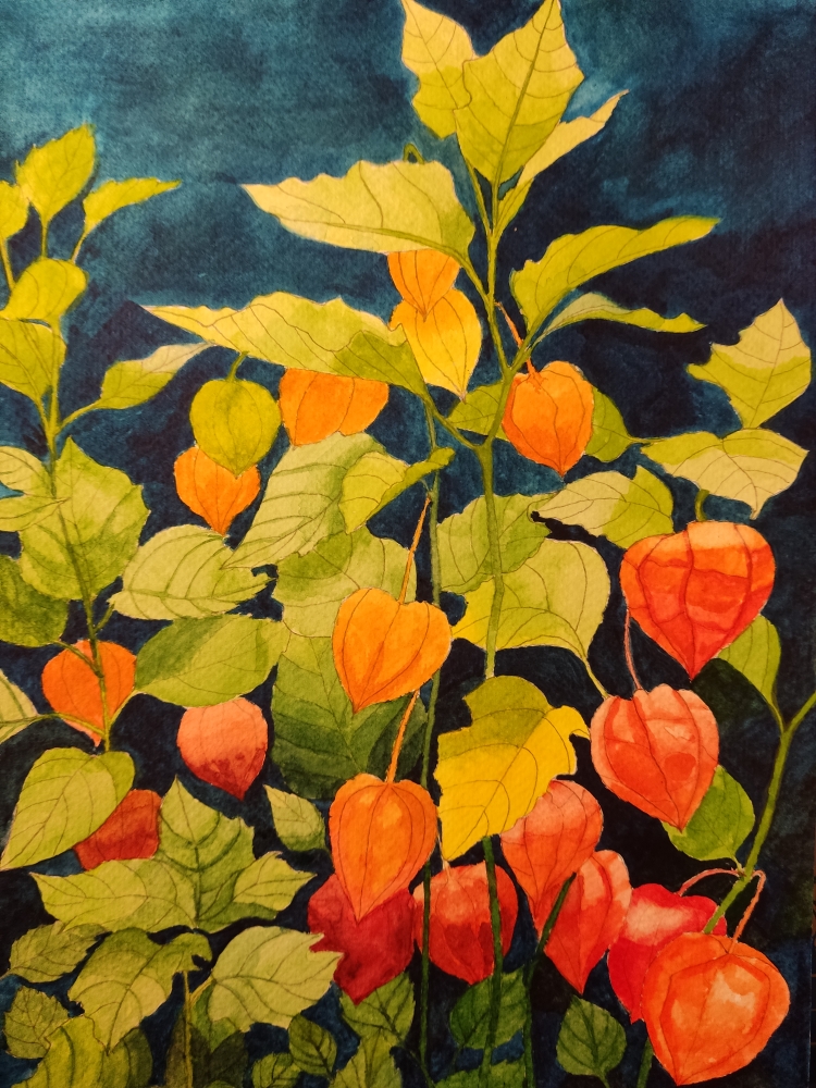 Chinese lanterns watercolour 