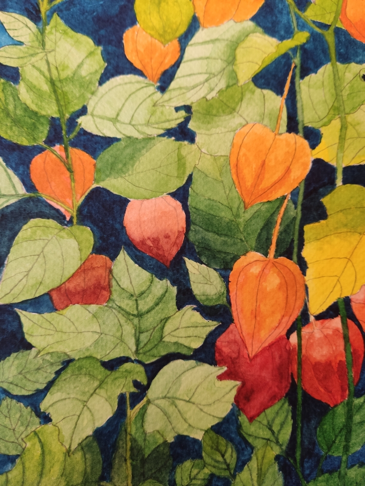 Chinese lanterns watercolour 