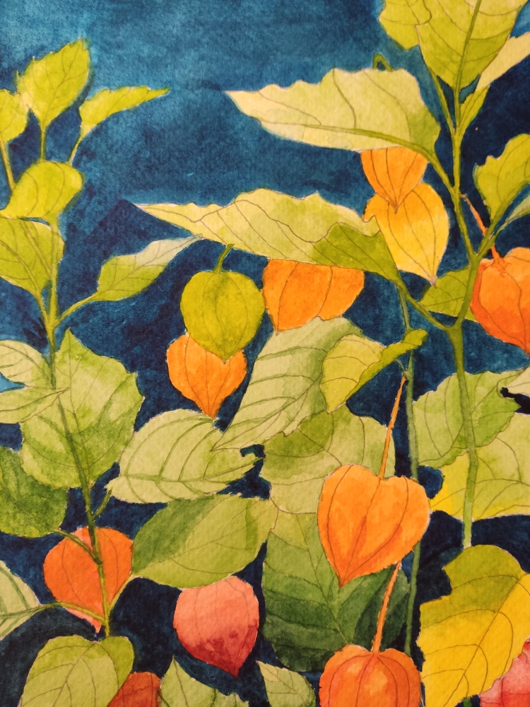 Chinese lanterns watercolour 