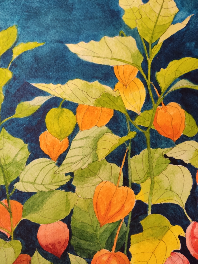 Chinese lanterns watercolour 