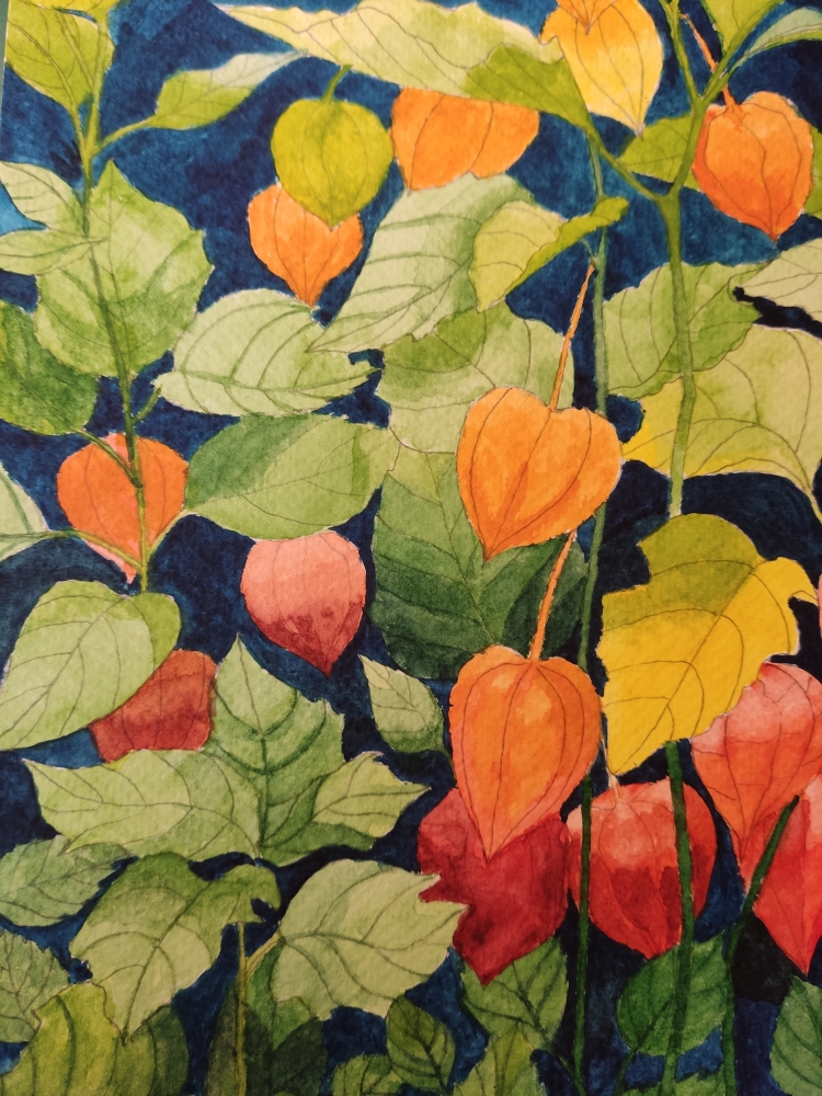 Chinese lanterns watercolour 