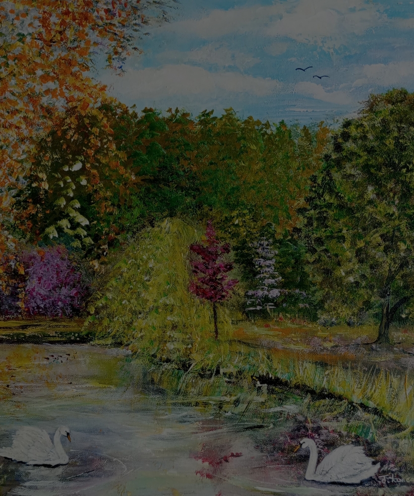Velvet Pond and Golden Leaves