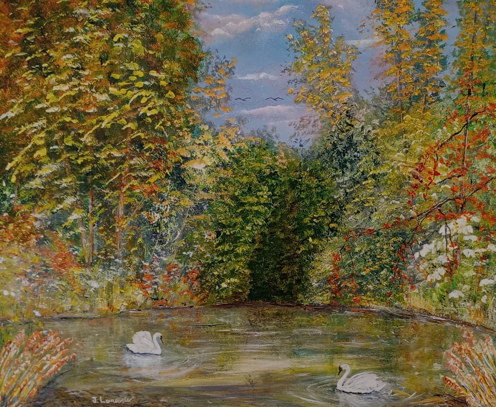 Swans on a serene forest lake