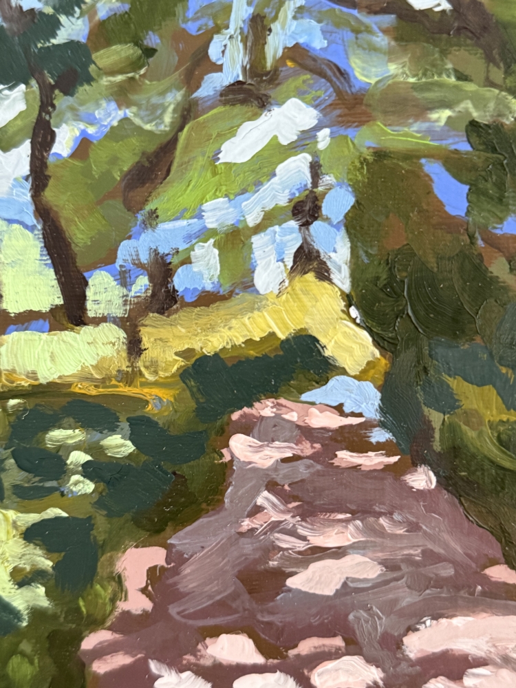 Woodland Path 
