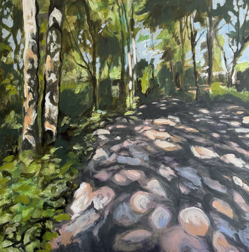 Dappled woodland light