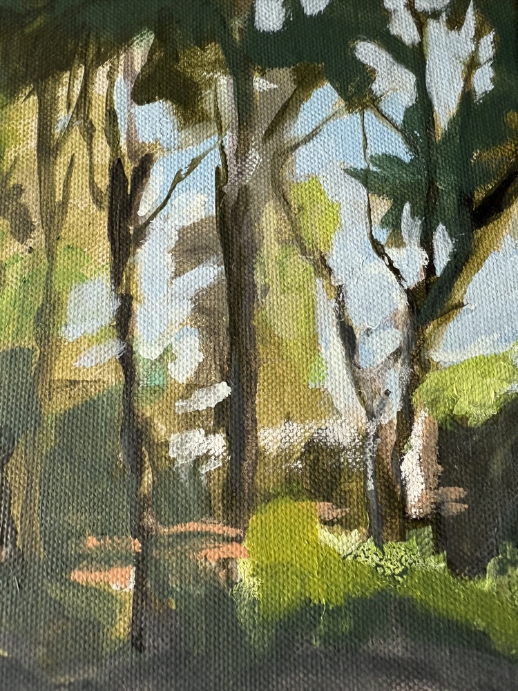 Dappled woodland light