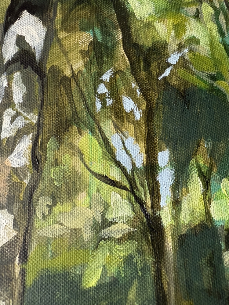 Dappled woodland light