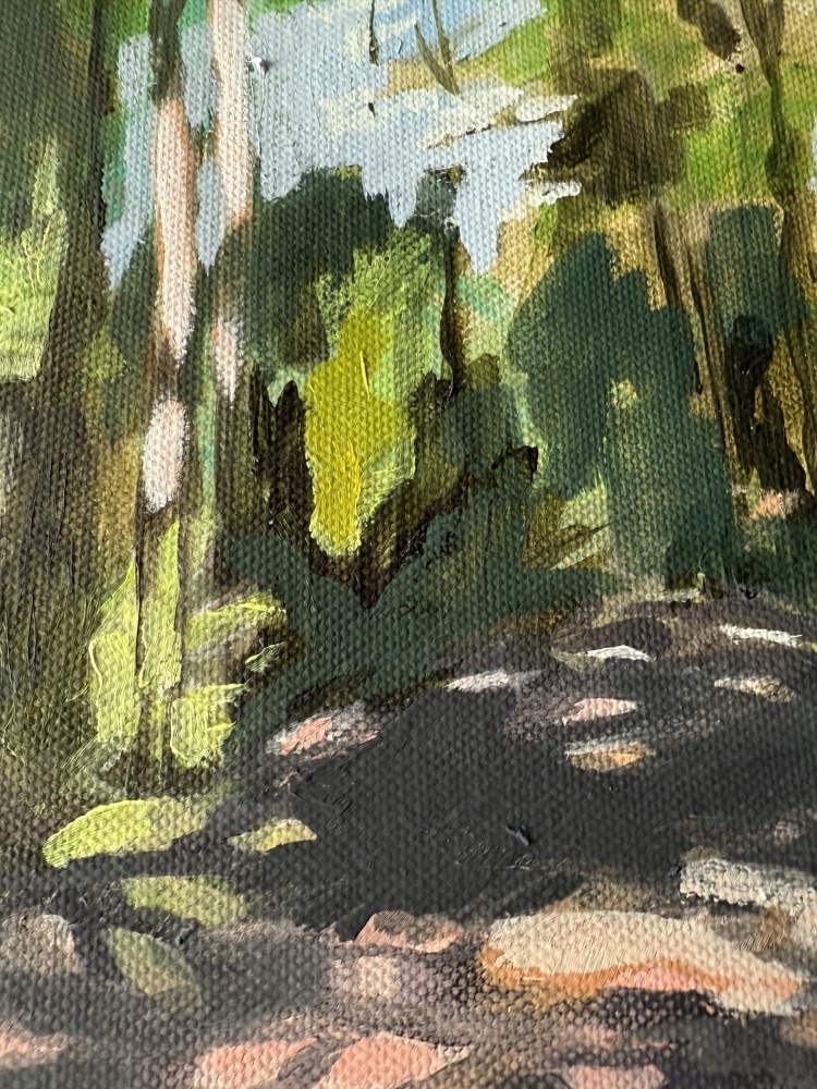 Dappled woodland light