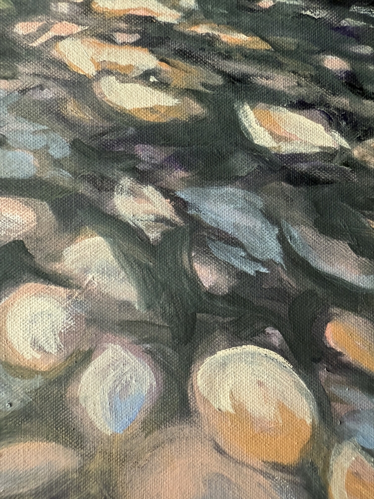 Dappled woodland light