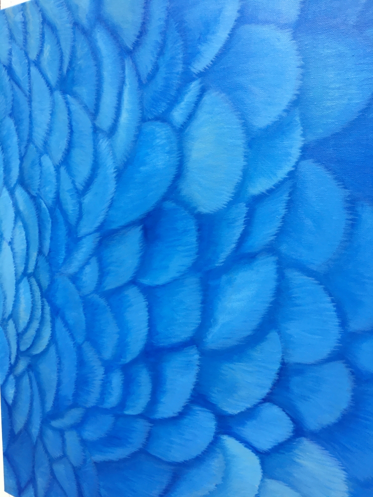 Blue Parrot