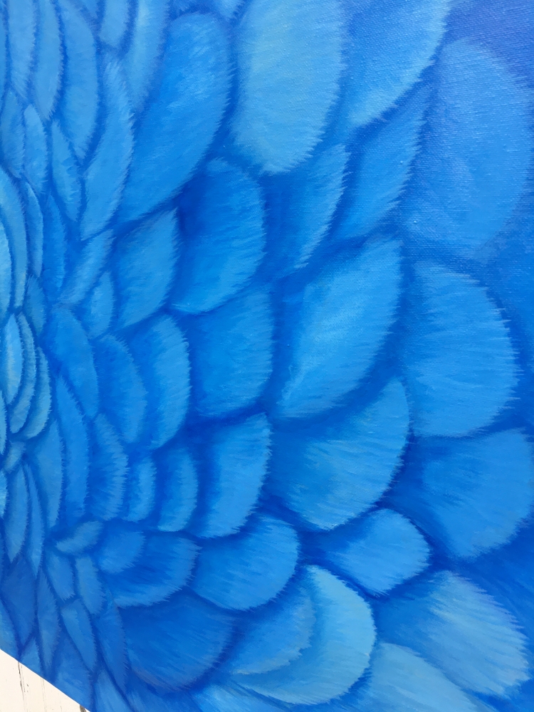 Blue Parrot