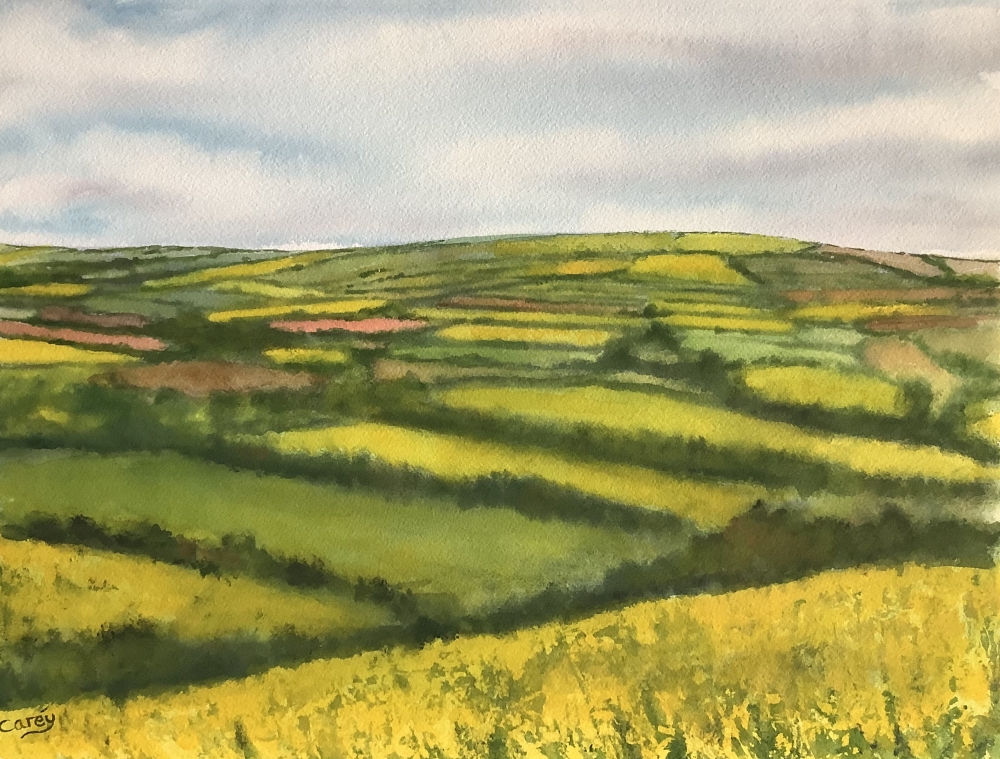 Fields of gold