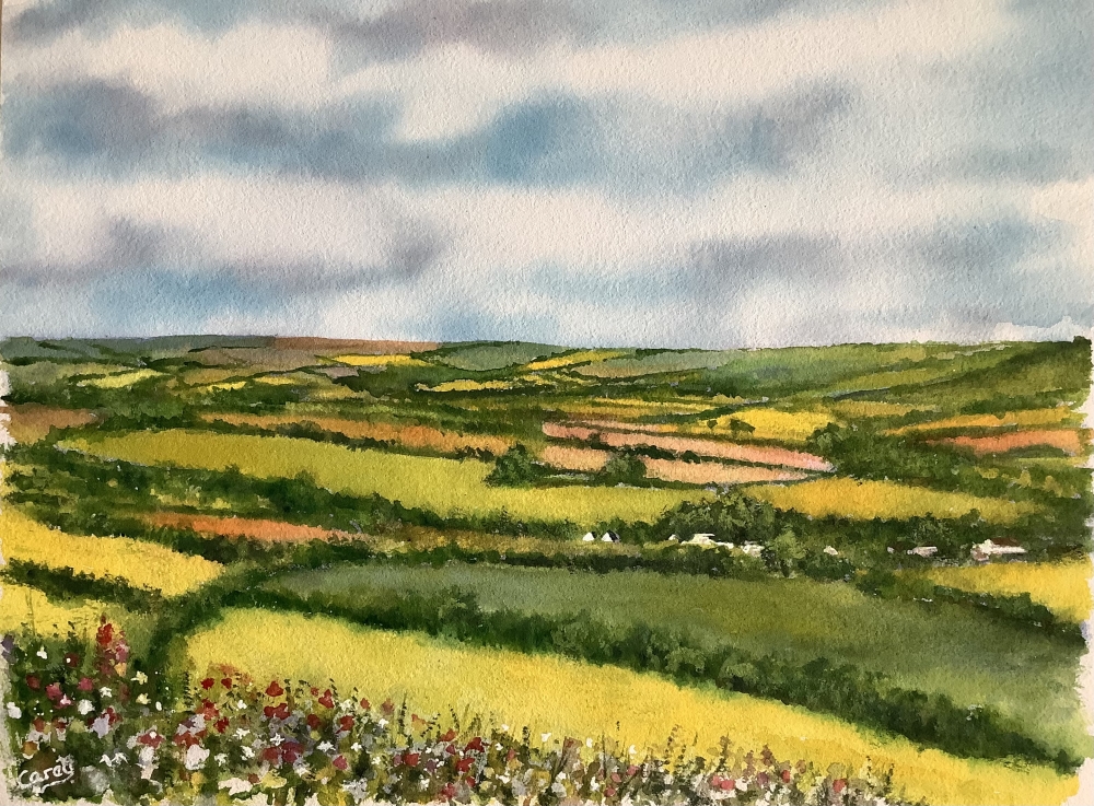 Summer Landscape 