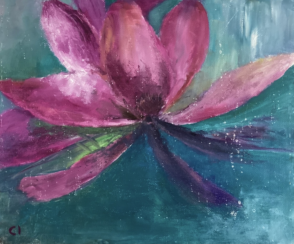 Water Lily