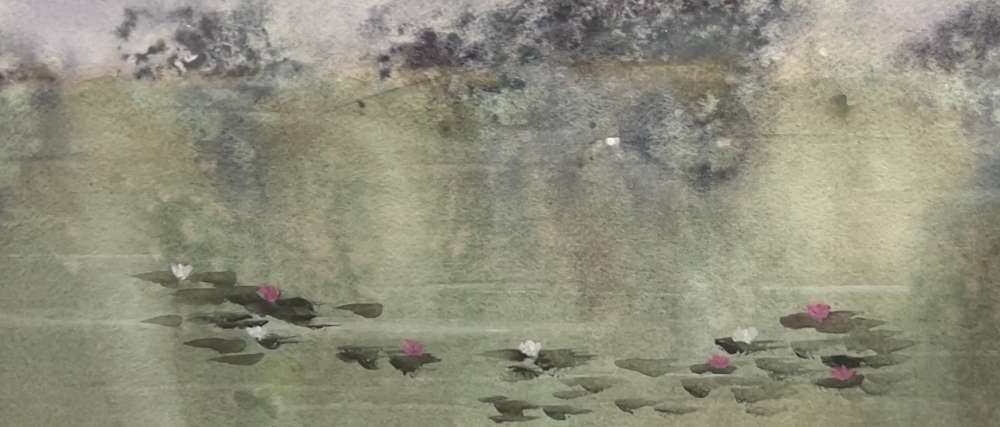 Lily Pond