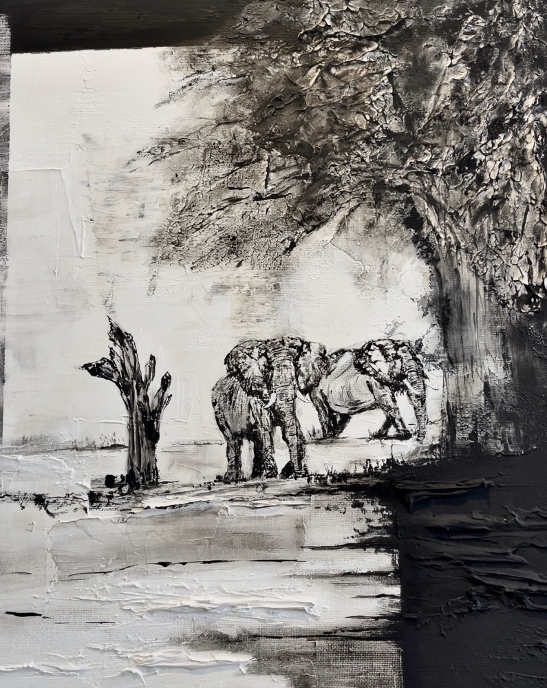 Under the Acacia Tree