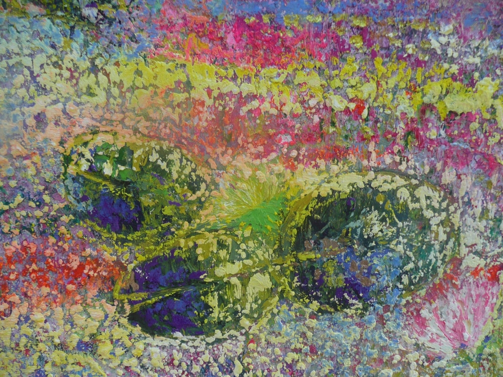 The Lily Pond 2025