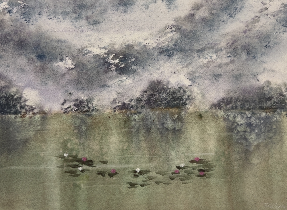 Lily Pond