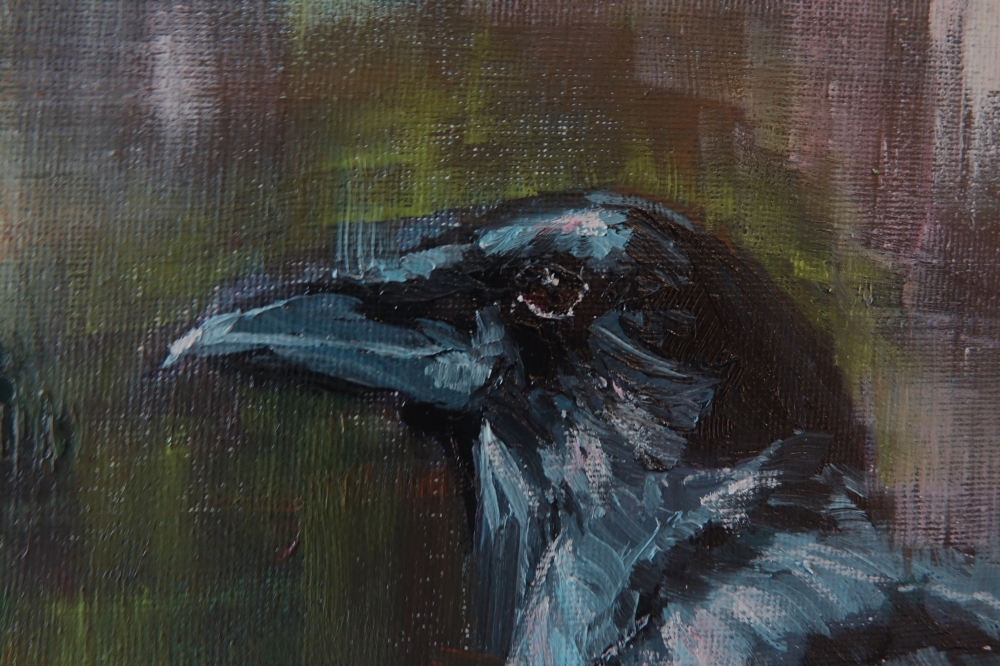 Raven