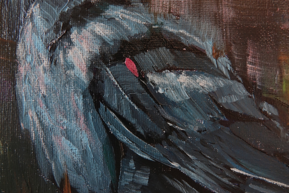 Raven