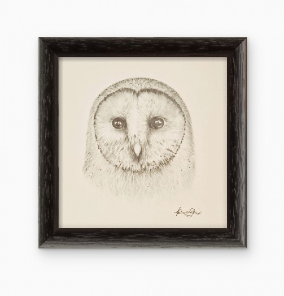 Barn Owl #2 (2017)