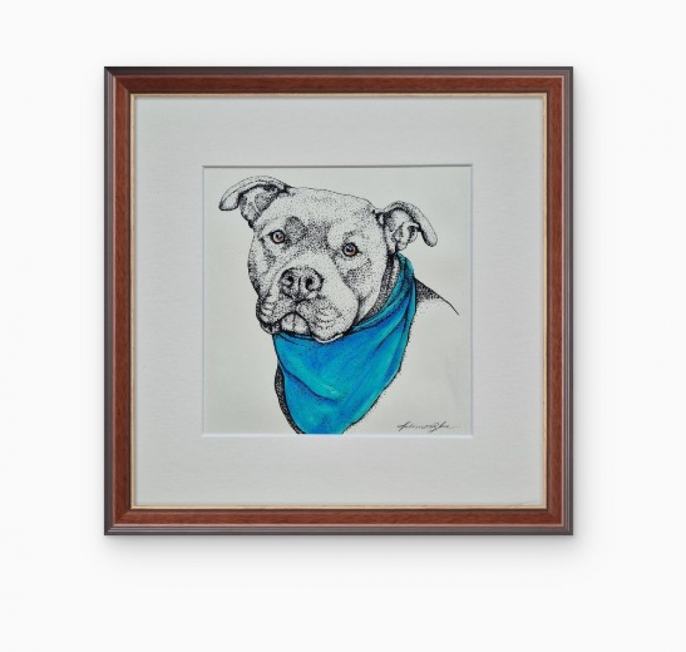 PITTIE (2017)