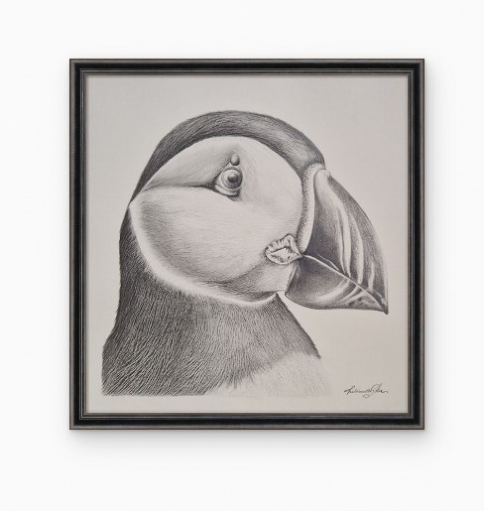 Puffin (2021)