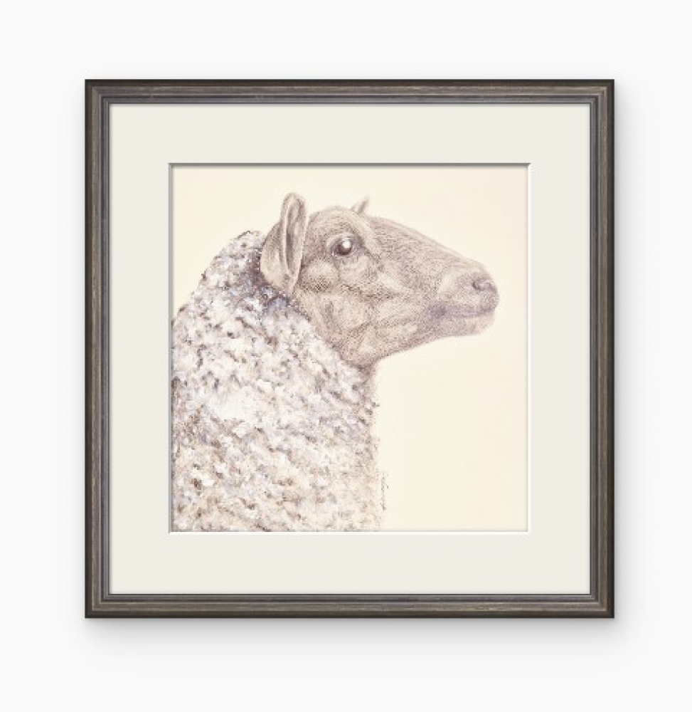 Farm Animals Series - The Sheep (2022)