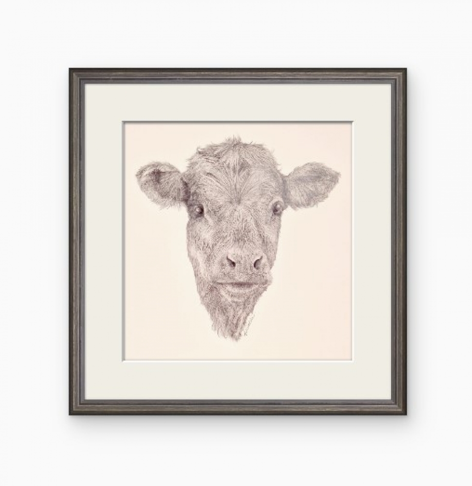Farm Animals Series - The Calf (2022)