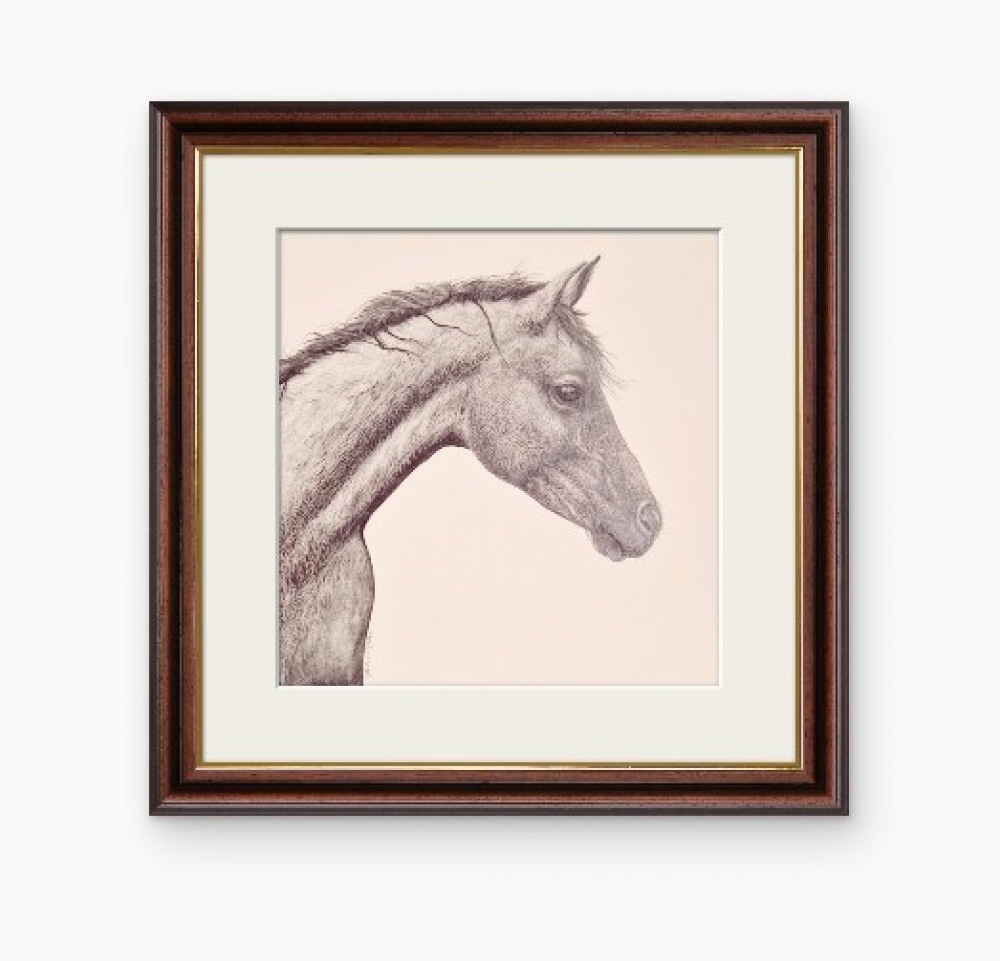 Farm Animals Series- Horse (2022)