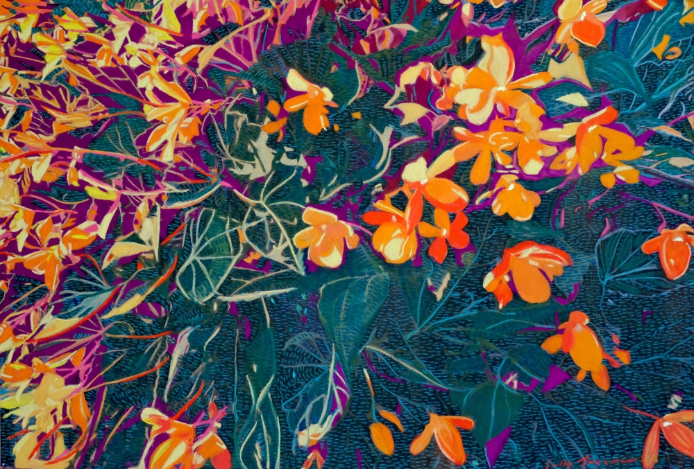Sunlit Splendour: Orange Begonias 