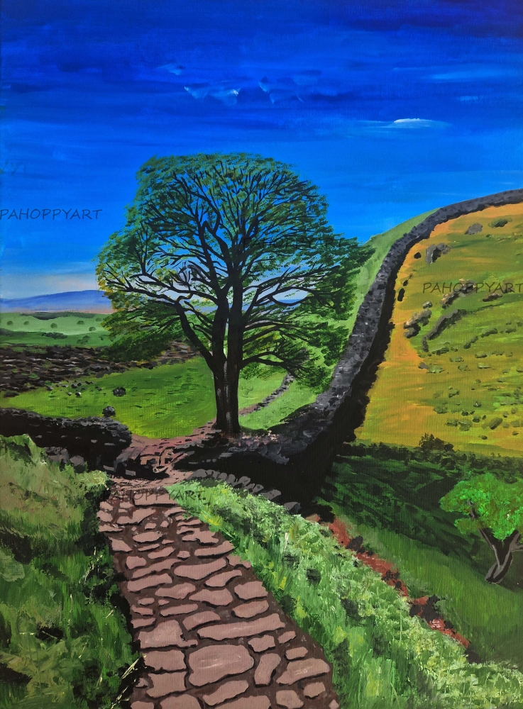 Sycamore gap