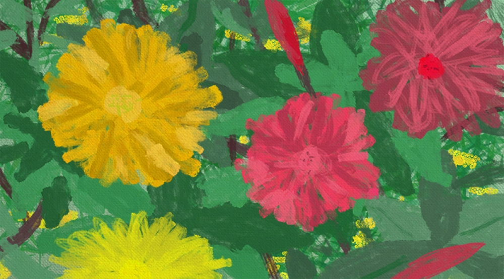 Hibiscus Impression