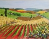 French Vineyards