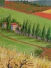French Vineyards