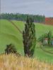 French Vineyards
