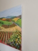 French Vineyards