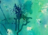 Green and Blue