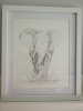 African Elephant