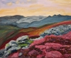 Heather Moorland in flower