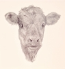 Farm Animals Series - The Calf (2022)