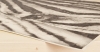 Zebra (2017)