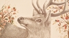 Winter Deer (2021)