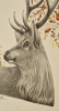 Winter Deer (2021)