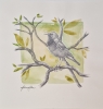 Singing through the branches (2021)