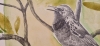Singing through the branches (2021)