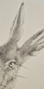 Hare #3 (2021)