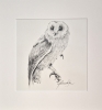 Bam Owl #3 (2021)