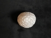 Dragon's Egg