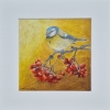 Eurasian blue tit (2021)